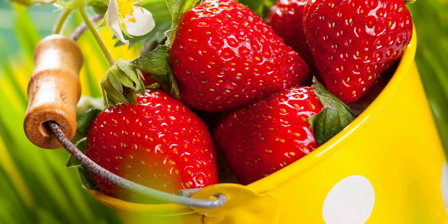 Neque porro quisquam est qui dolorem ipsum quia dolor sit amet, consectetur, adipisci velit Neque porro quisquam est qui dolorem ipsum quia dolor sit amet, consectetur, adipisci velit